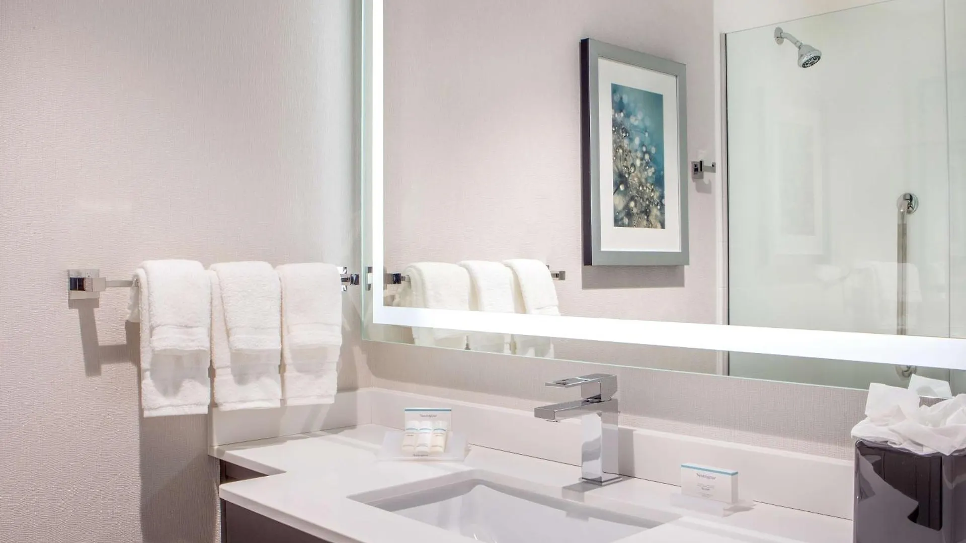 Szálloda Hilton Garden Inn Nyc Financial Center/Manhattan Downtown New York
